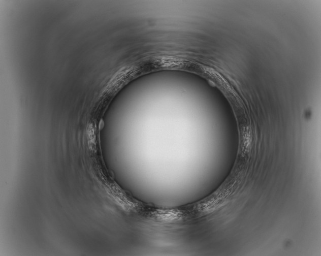 X0000096140667200801251043