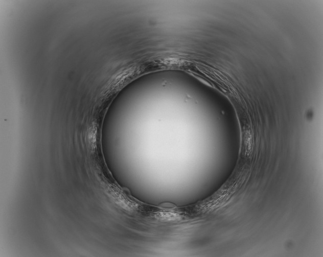 X0000096140668200801251043