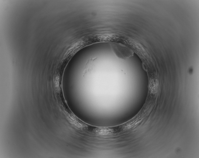 X0000096140670200801251043