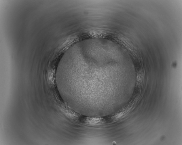 X0000096140671200801251043