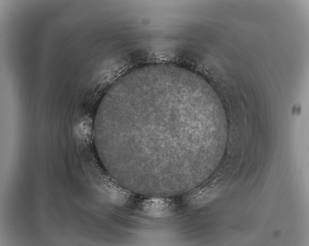 X0000096140672200801251043