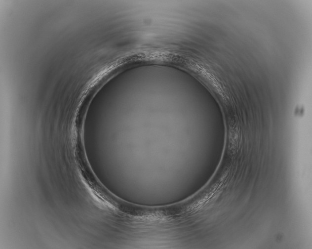 X0000096140674200801251042