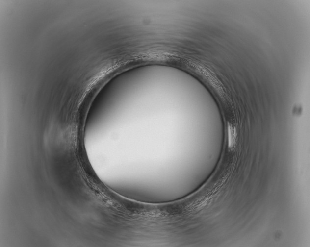 X0000096140675200801251042