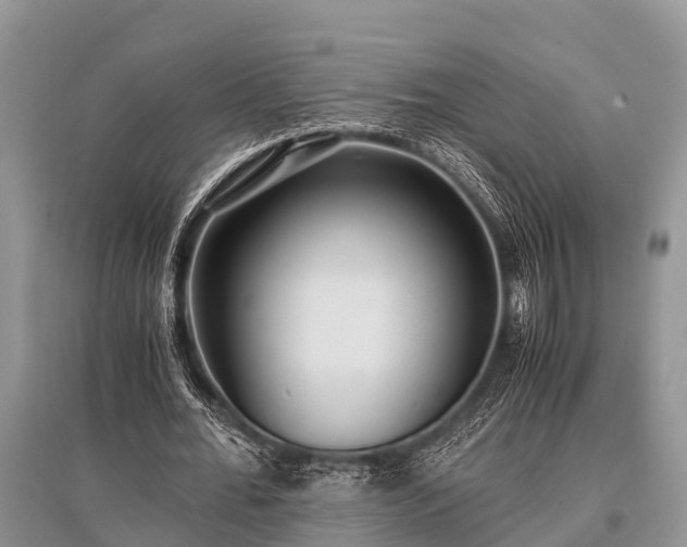 X0000096140676200801251042