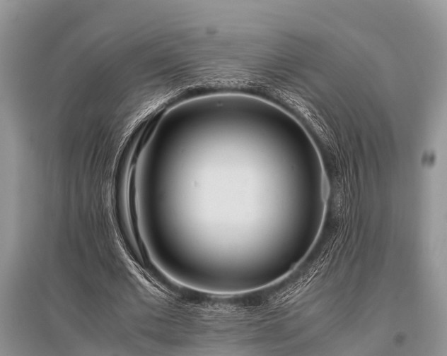 X0000096140677200801251042