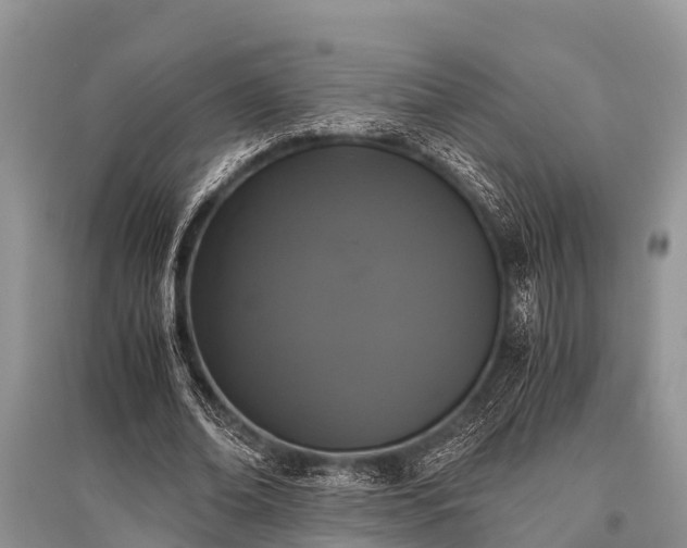 X0000096140678200801251042