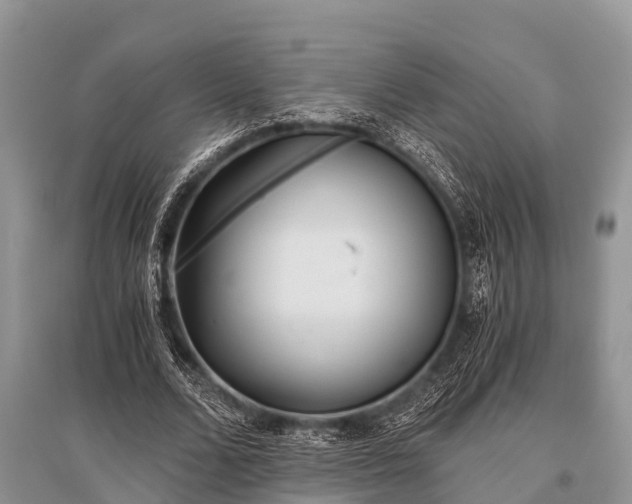 X0000096140680200801251042