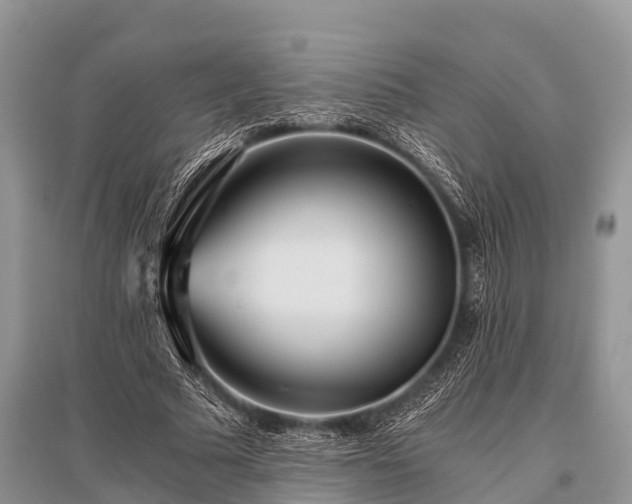 X0000096140681200801251042