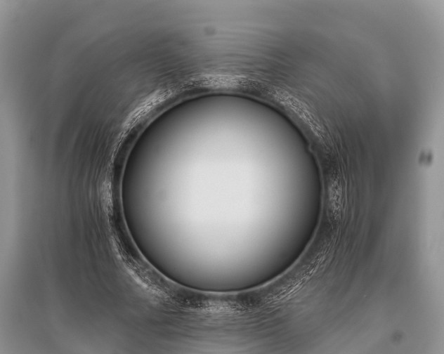 X0000096140682200801251042