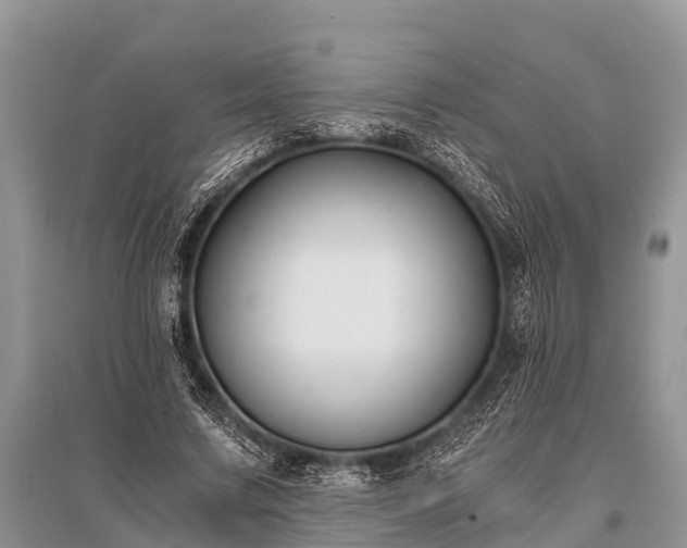 X0000096140683200801251042