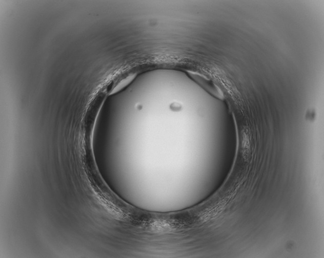 X0000096140684200801251042