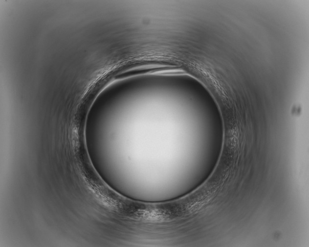 X0000096140688200801251042