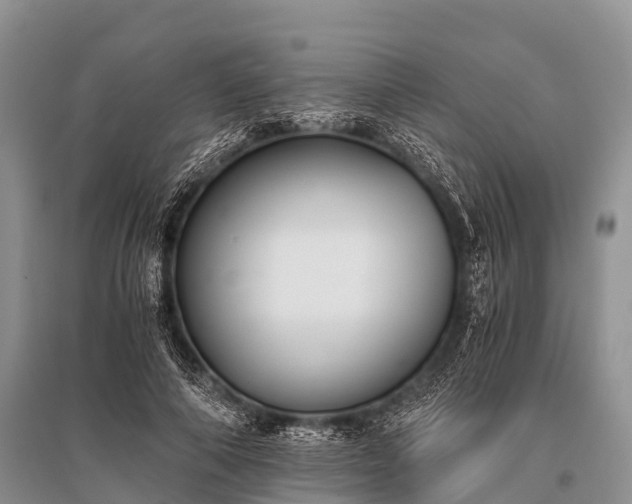 X0000096140690200801251042