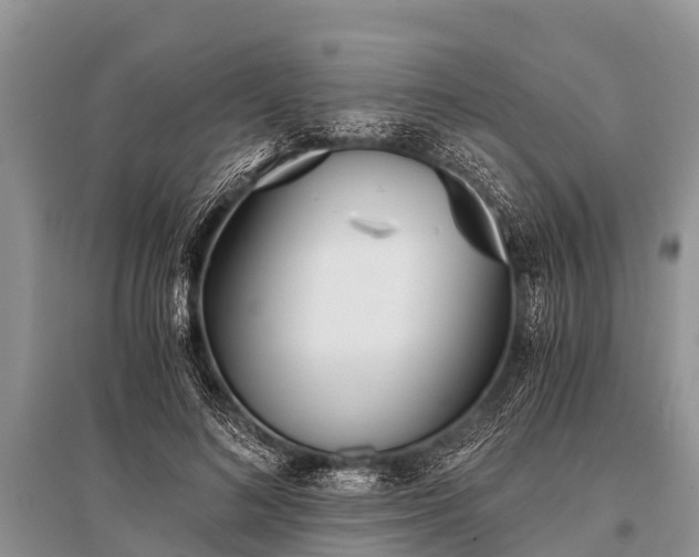 X0000096140692200801251042