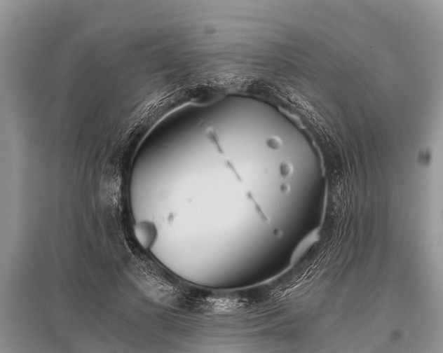 X0000096140693200801251042