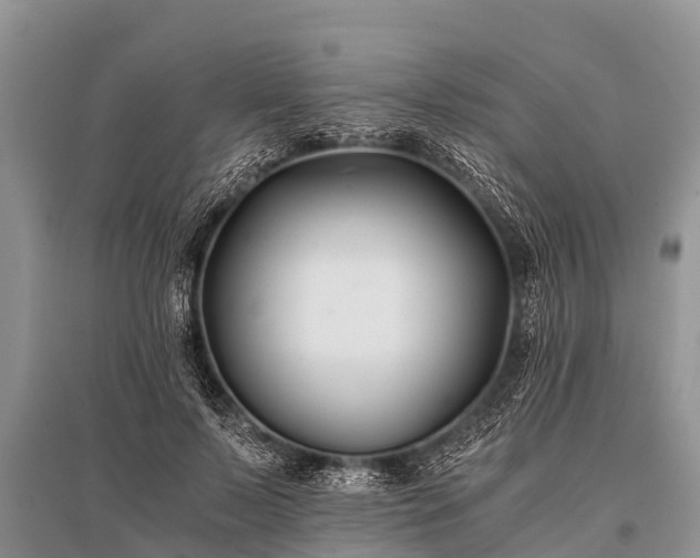 X0000096140695200801251042