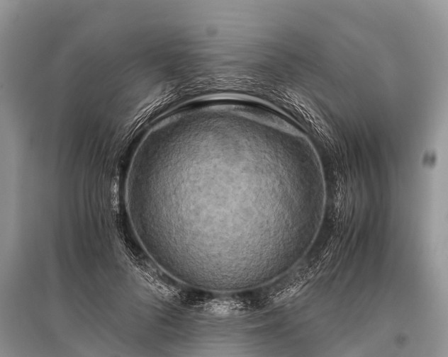 X0000096140696200801251041