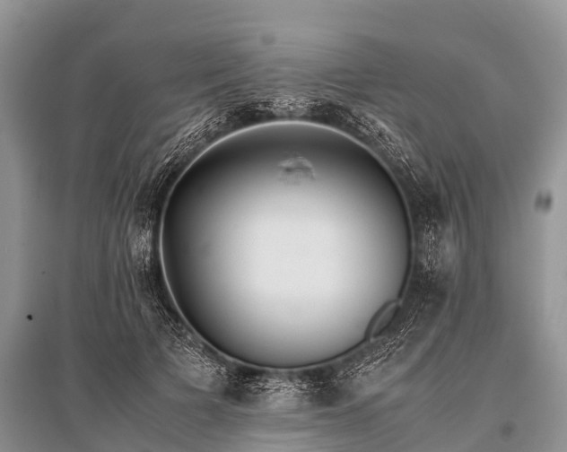 X0000096140697200801251041