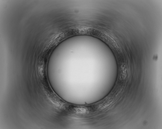 X0000096140698200801251041