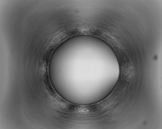 X0000096140702200801251041