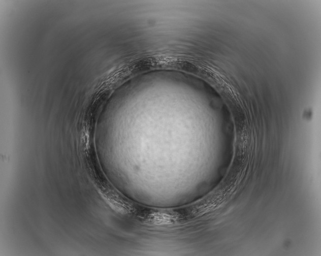 X0000096140703200801251041