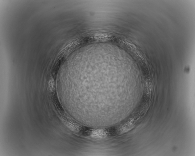X0000096140705200801251041