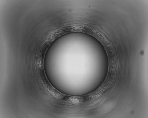 X0000096140706200801251041