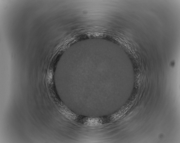 X0000096140709200801251041