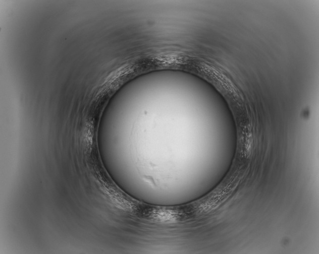 X0000096140710200801251041