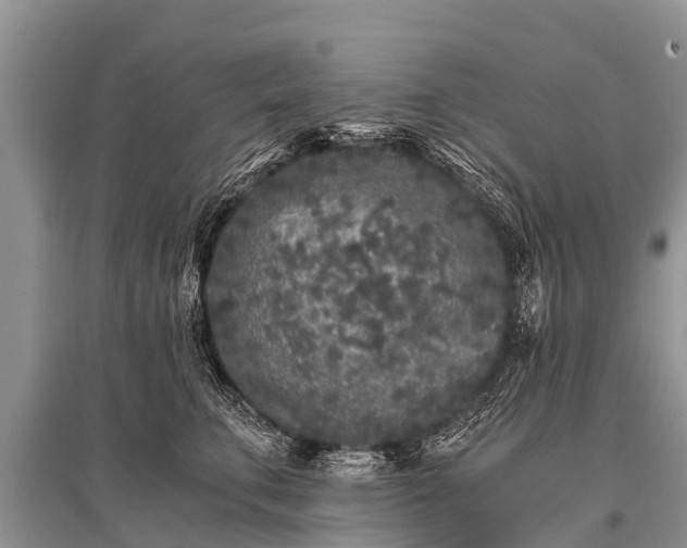 X0000096140711200801251041