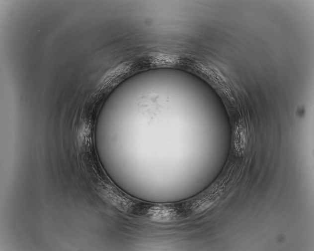 X0000096140714200801251041
