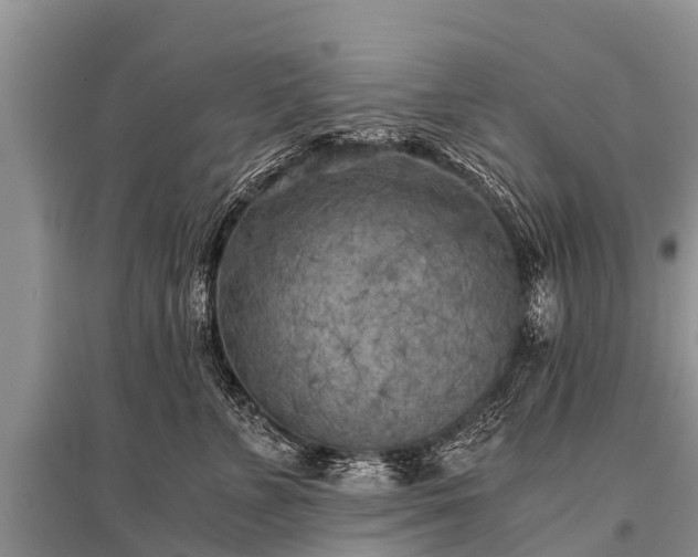 X0000096140715200801251041