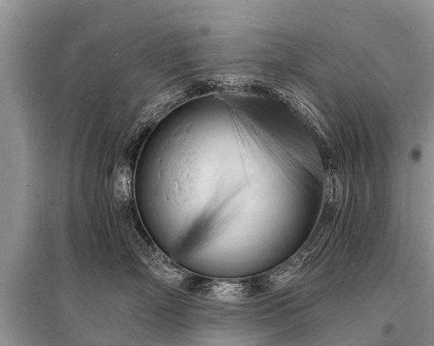 X0000096140718200801251041