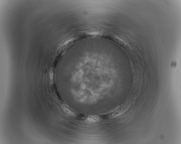 X0000096140720200801251041