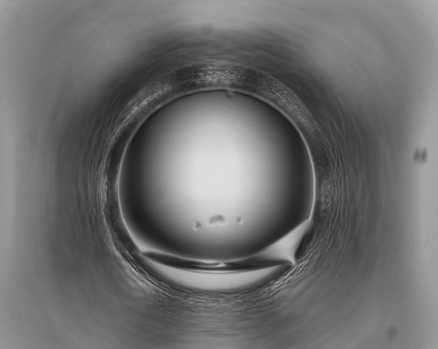 X0000096140722200801251040
