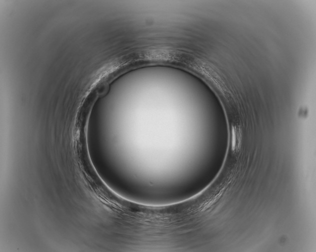 X0000096140723200801251040