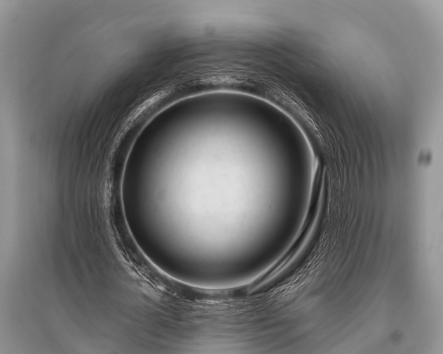 X0000096140724200801251040