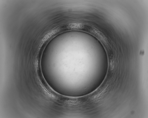 X0000096140725200801251040