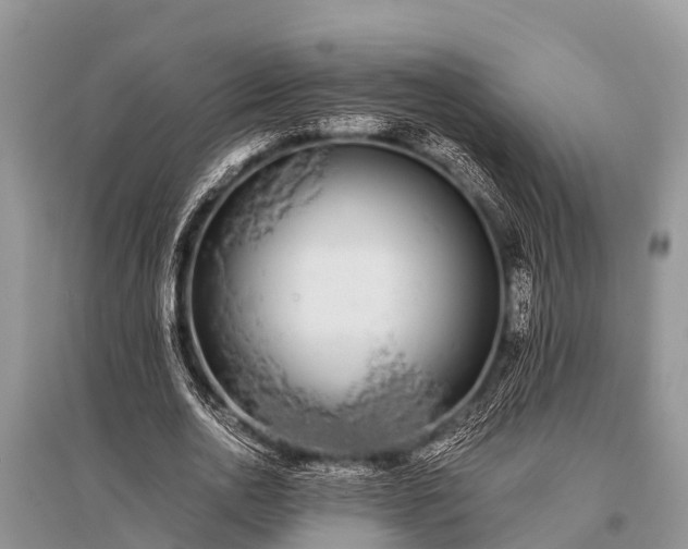 X0000096140726200801251040