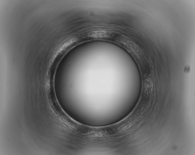 X0000096140727200801251040
