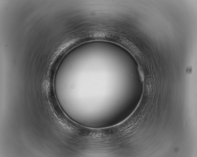 X0000096140728200801251040