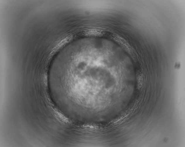 X0000096140729200801251040