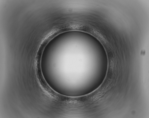 X0000096140730200801251040