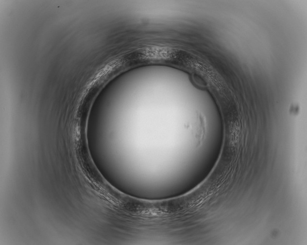 X0000096140731200801251040