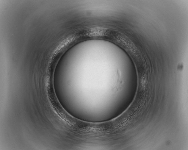 X0000096140732200801251040