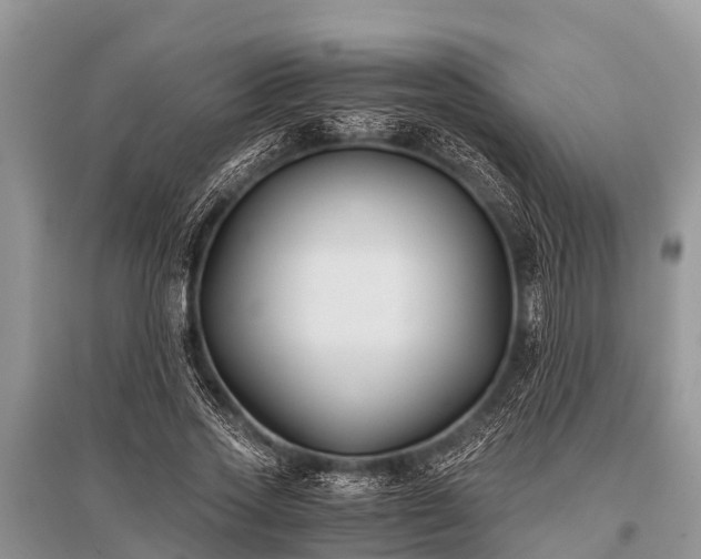 X0000096140733200801251040