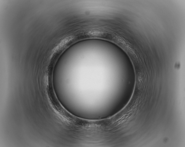 X0000096140734200801251041