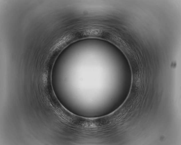 X0000096140735200801251041