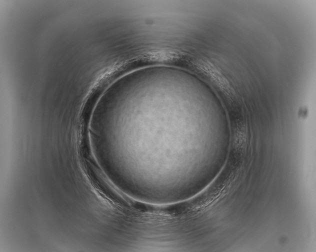 X0000096140736200801251041