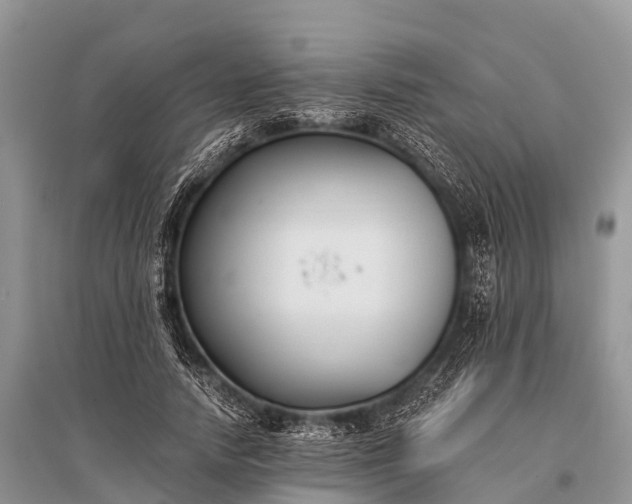 X0000096140738200801251041